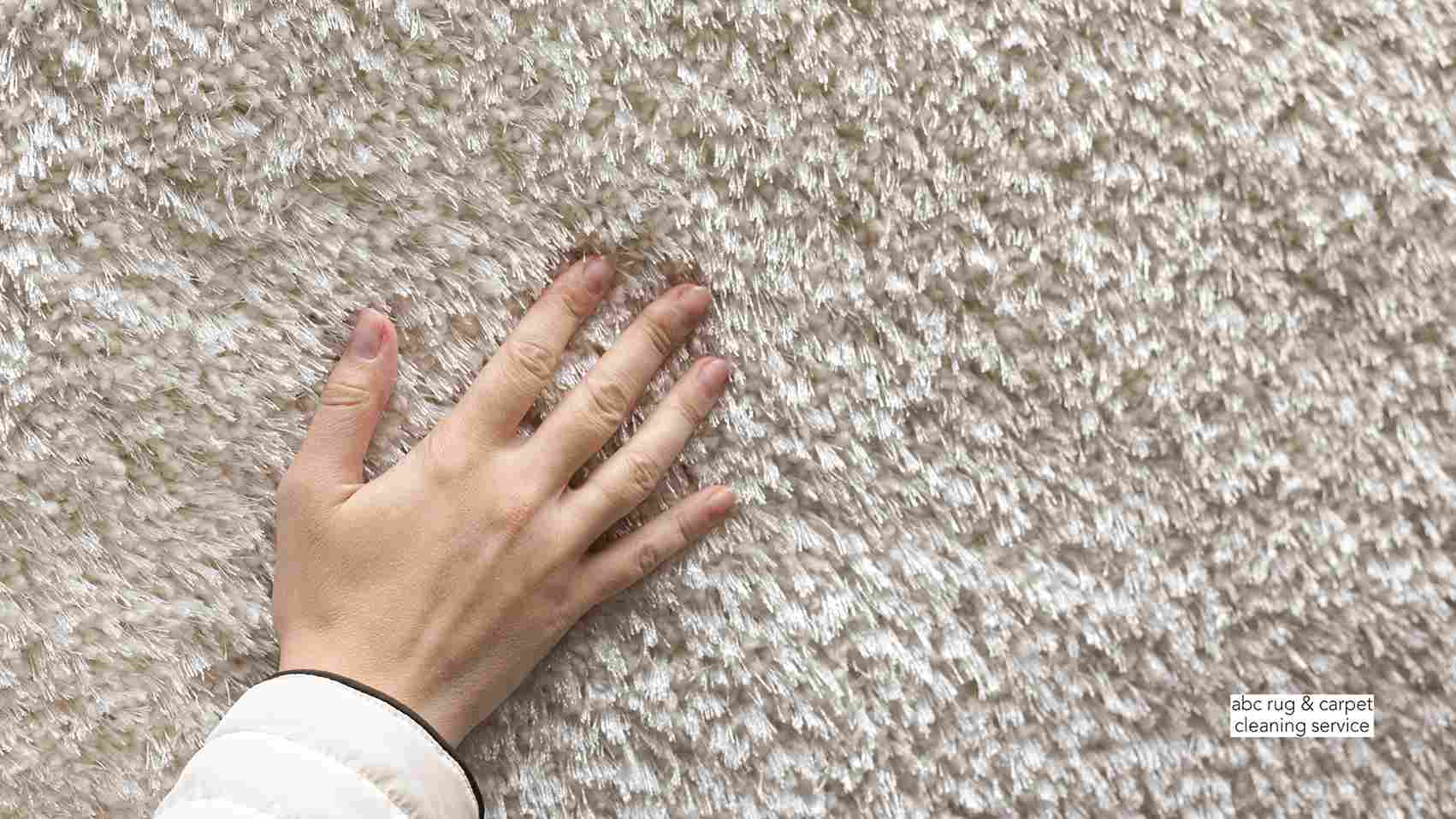 Best Carpet Cleaning Service in Long Island City